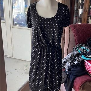 NWT Cute black and white polka dot dress
